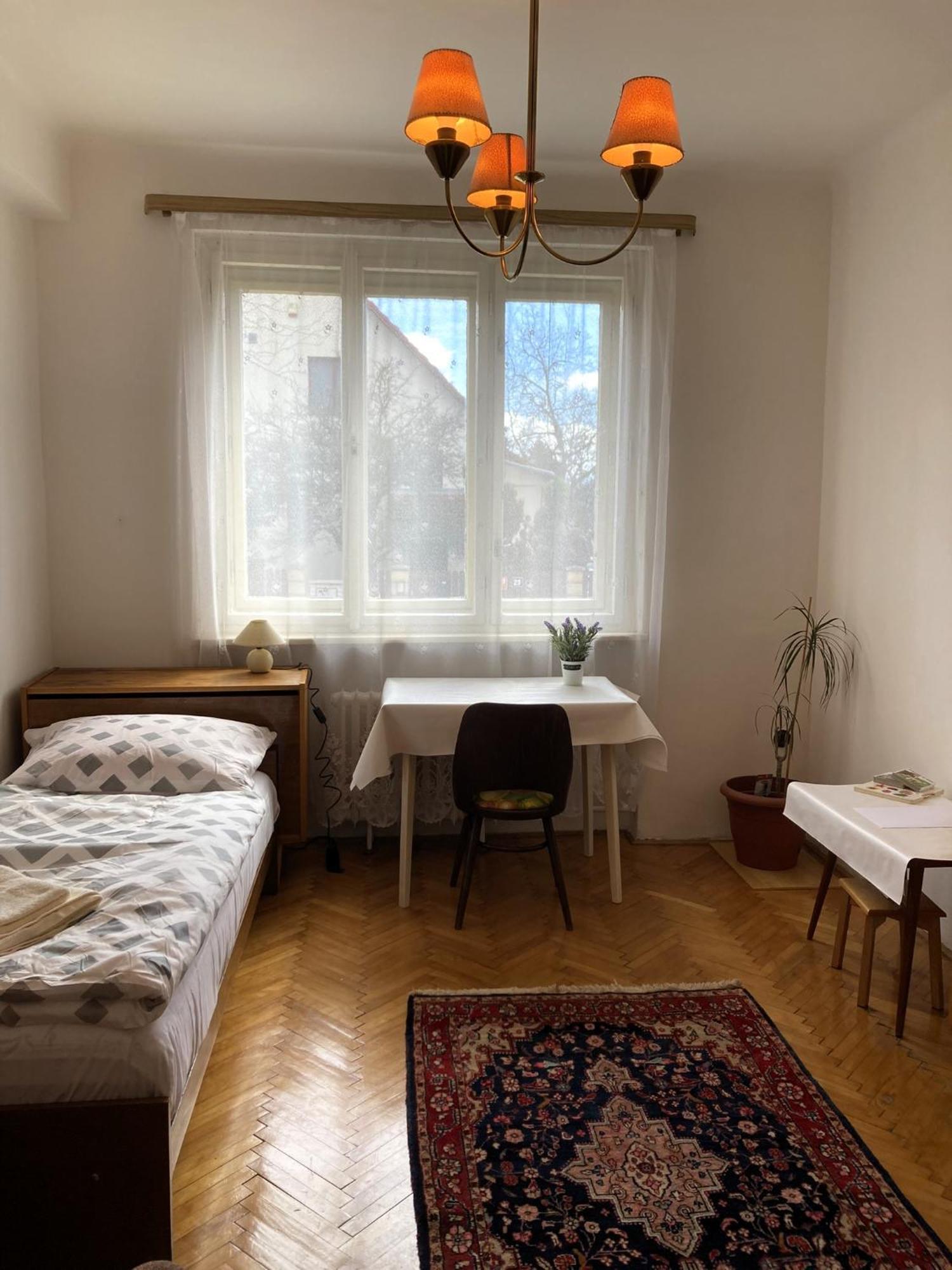 Podkrovní byt - Na Slovance Praga Exterior foto